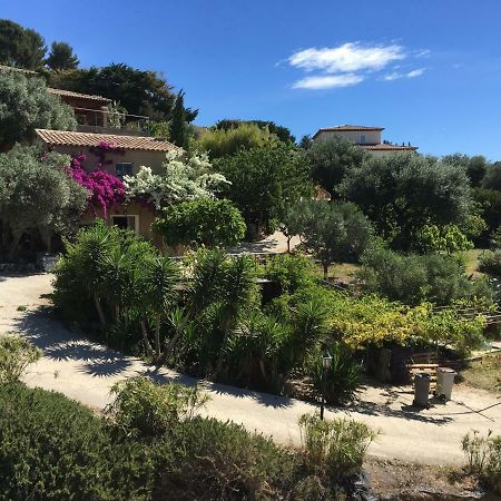 Les Terrasses Sur Mer Ollioules Eksteriør billede