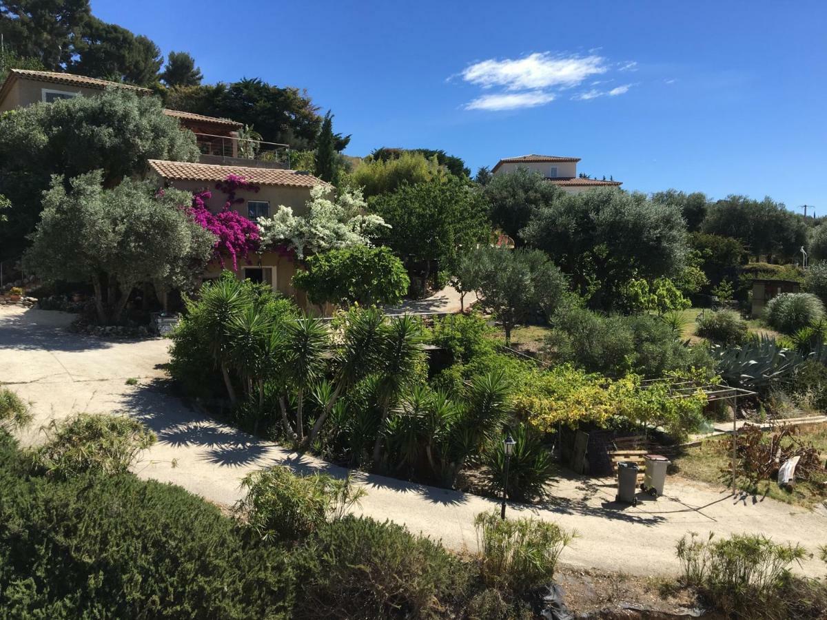 Les Terrasses Sur Mer Ollioules Eksteriør billede