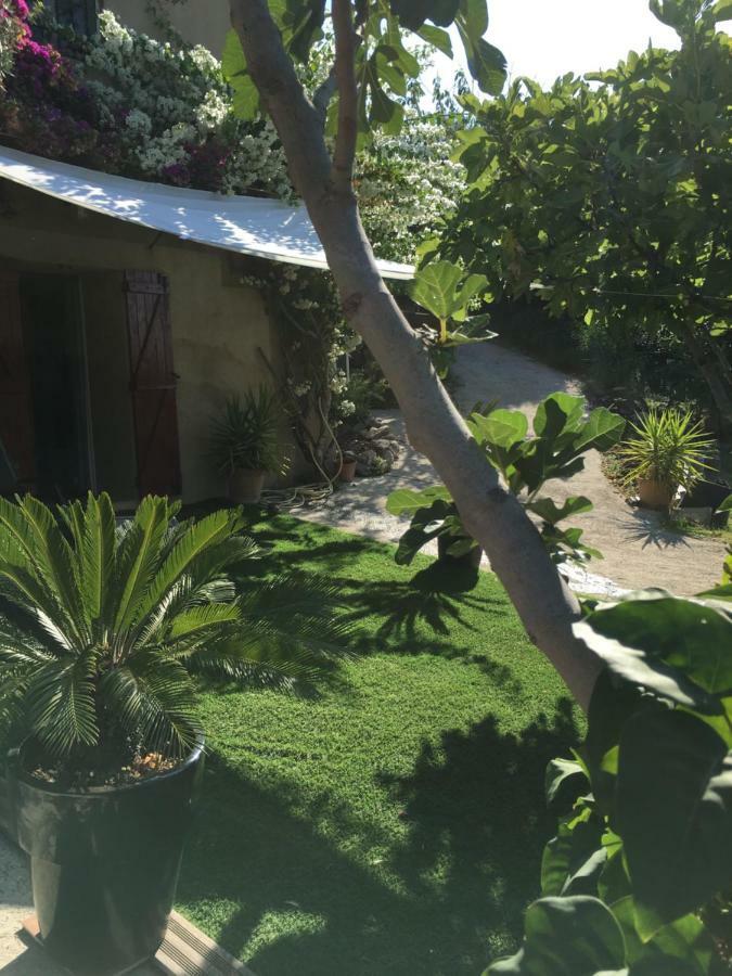 Les Terrasses Sur Mer Ollioules Eksteriør billede