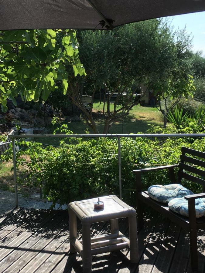 Les Terrasses Sur Mer Ollioules Eksteriør billede